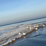 Глэмпинг Малина, фото гостя