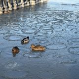 Глэмпинг Малина, фото гостя