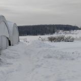 Парк-Отель Торбеево Озеро, фото гостя