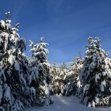 Экопарк Поляны, фото гостя