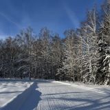 Экопарк Поляны, фото гостя