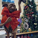 Московская область, фото отдыхающего в январе