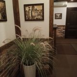 Гостиница Амстердам, фото гостя