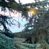 Отель Империал-2011, фото гостя