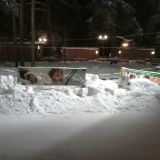 База отдыха Верхний бор, фото гостя