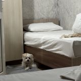 Гостевой дом Марта, фото гостя