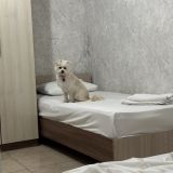 Гостевой дом Марта, фото гостя