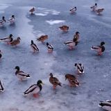 Гостиница Валдай, фото гостя