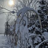 Сахалин, фото отдыхающего в январе
