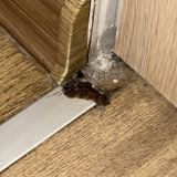 Апартаменты В ЖК Тополя, фото гостя