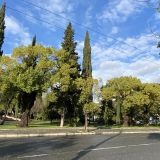 Гостевой дом Солнечный день, фото гостя