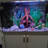 Гостевой дом Александрия-Петергоф, фото гостя