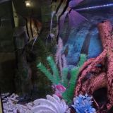 Гостевой дом Александрия-Петергоф, фото гостя