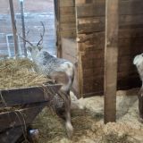 База отдыха Давинчи Парк, фото гостя