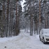 База отдыха Давинчи Парк, фото гостя