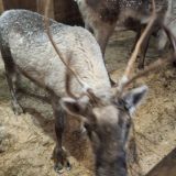 База отдыха Давинчи Парк, фото гостя