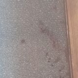 Гостиница Cosmos Moscow VDNH, фото гостя