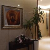 Отель NIHAO Hotel St. Petersburg, фото гостя