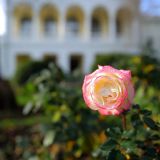 Отель Gurzuf Sunrise, фото гостя