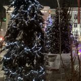 Брянск, фото отдыхающего в январе