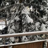 Гостиница Турист, фото гостя