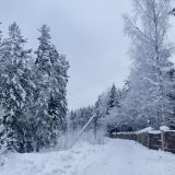 База отдыха Журавушка, фото гостя