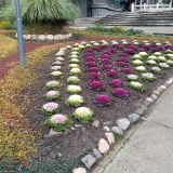 Отель Ялта Интурист, фото гостя