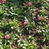 Отель Ялта Интурист, фото гостя