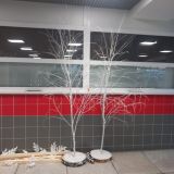 Отель 12 Комнат, фото гостя