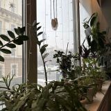 Хостел ALL MUSIC Hostel №1 Маяковская, фото гостя