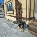 Отель Подлеморье, фото гостя