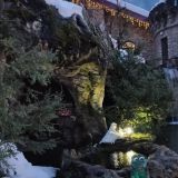 Гостиница Форт Эврика, фото гостя