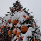 Московская область, фото отдыхающего в январе