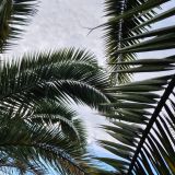 Лоо, фото отдыхающего в январе