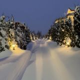 Парк-Отель Орловский, фото гостя