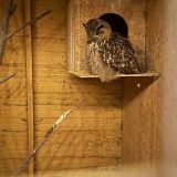 Парк-Отель Орловский, фото гостя