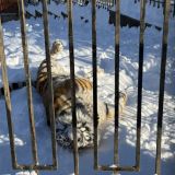 Парк-Отель Орловский, фото гостя