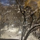 Настоящий московский даорик