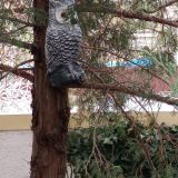 Новороссийск, фото отдыхающего в январе