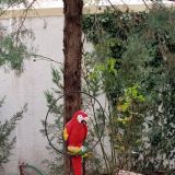 Новороссийск, фото отдыхающего в январе