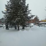 Гостевой дом Мон Плезир, фото гостя