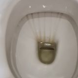 Подольск, фото отдыхающего в январе