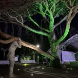 Отель Ялта Интурист, фото гостя