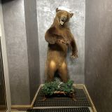 Мурманская область, фото отдыхающего в январе