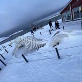 Мурманская область, фото отдыхающего в январе