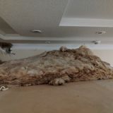 Майкоп, фото отдыхающего в январе