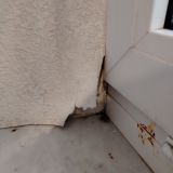 Майкоп, фото отдыхающего в январе