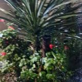 Гостевой дом Palma Раrk, фото гостя