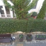 Гостевой дом Palma Раrk, фото гостя