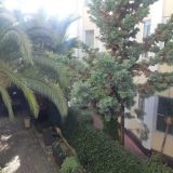 Гостевой дом Palma Раrk, фото гостя